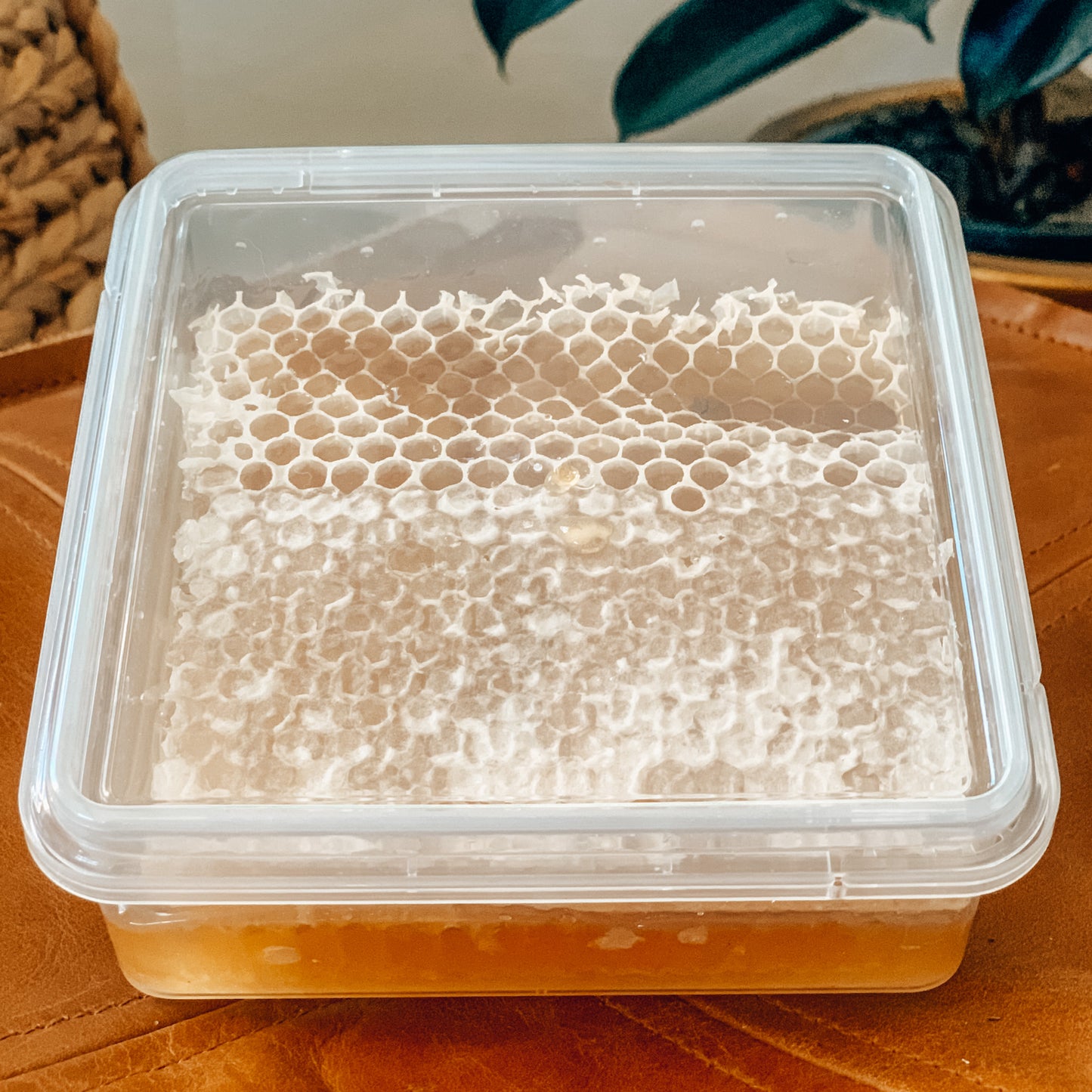 SOLD OUT - Pure Australian Honeycomb 400g