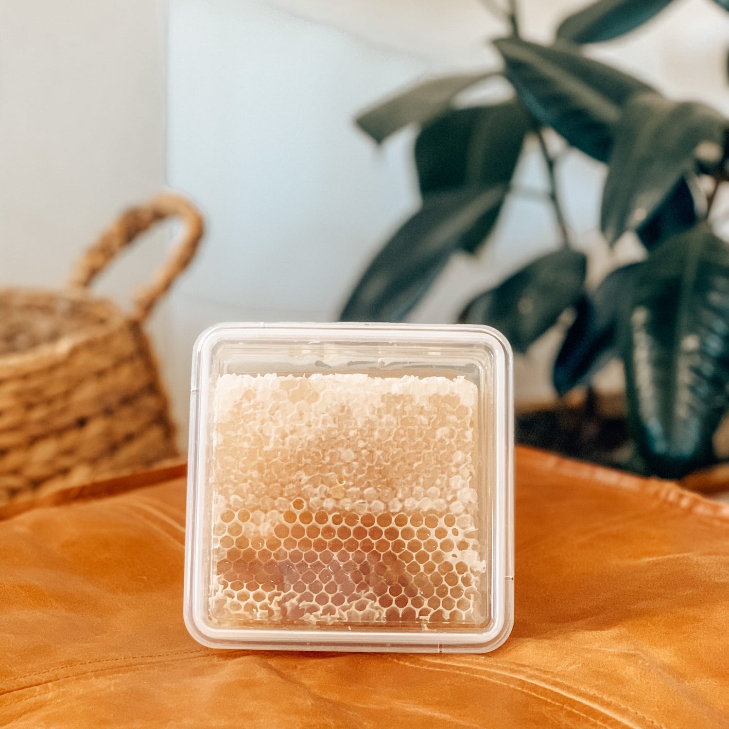 100% Pure Premium Australian Honey